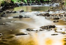 El cruce del río Río