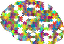 ¿Qué es la agenesia del cuerpo calloso? Símil de la agenesia
