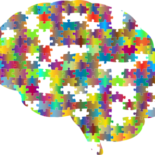 Cerebro de puzzle